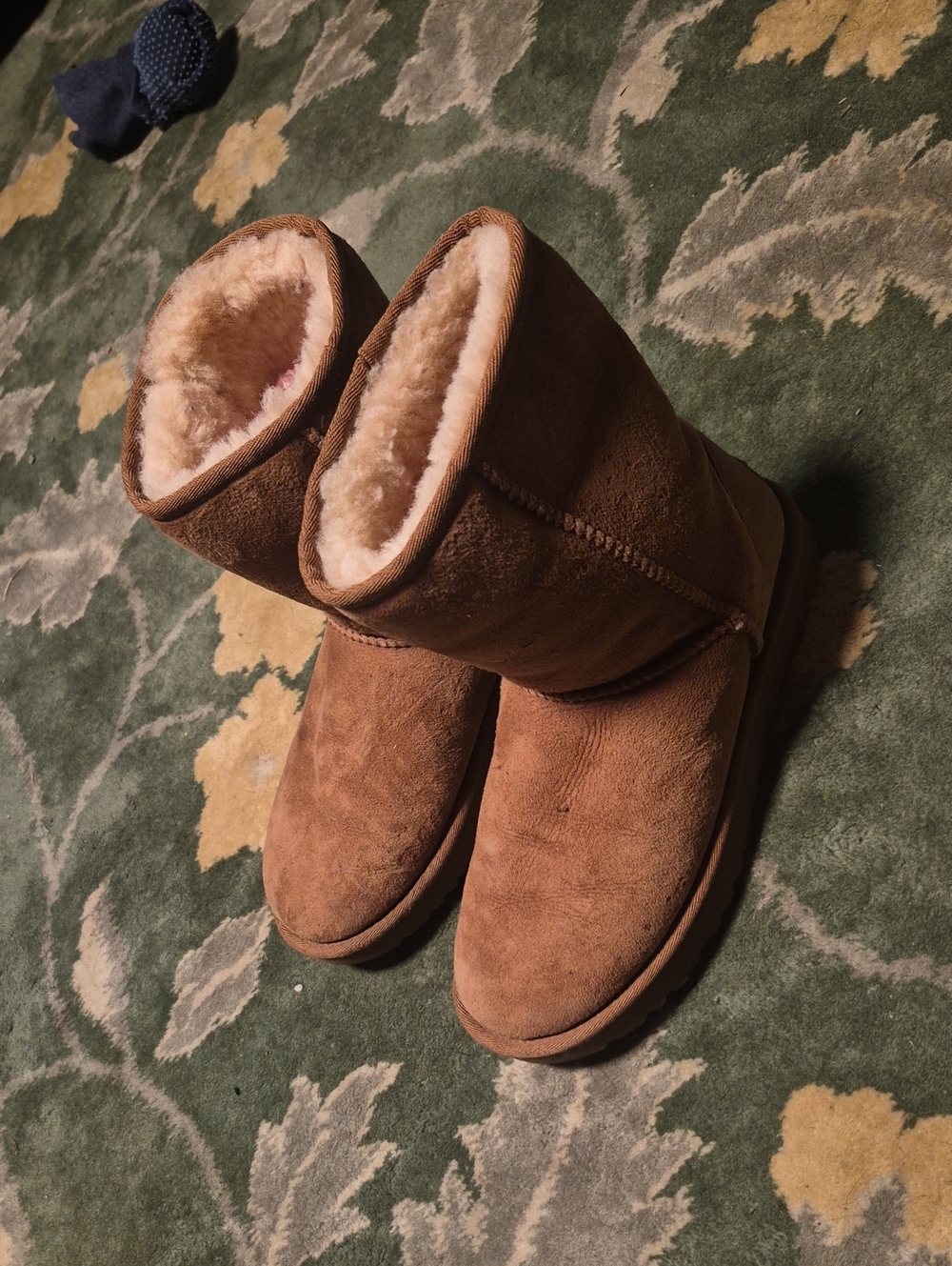 UGG Chestnut Short Classic Shearling Winter Boots